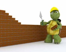 Comment construire un enclos pour tortue de terre - le minimum à connaitre comment construire un enclos pour tortue de terre